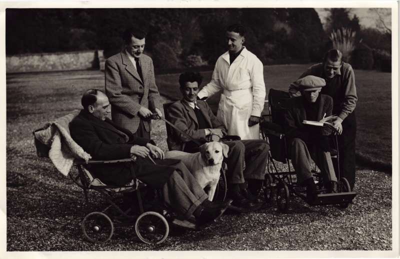 Three men in wheelchairs and three staff members walking a dog in the grounds