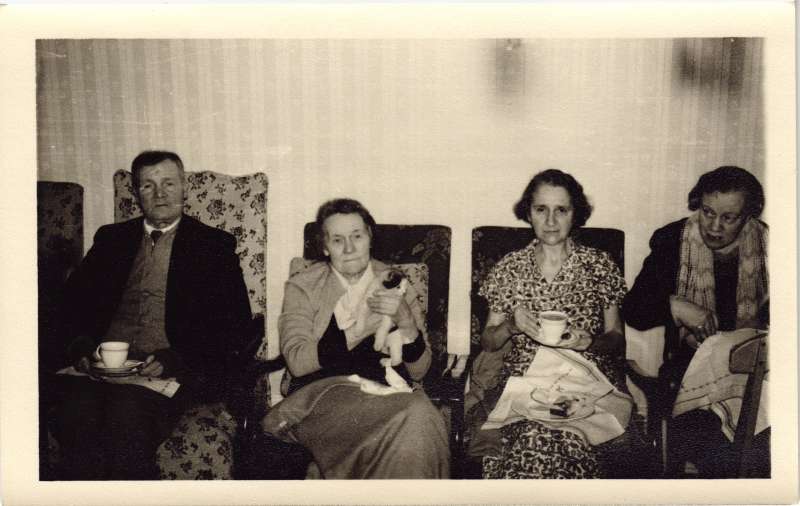 Four older people sat in armchairs. Two holding cups of tea, one holding a cat and one doing needlework