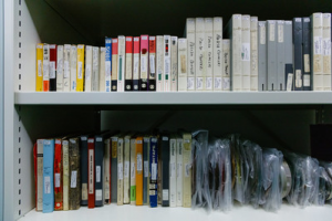 A shelf showing the spines of tapes oin different sized boxes